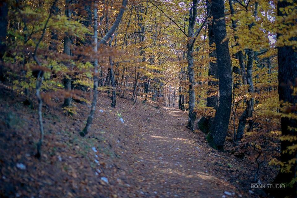 Hotel Snjezna Kuca - Nature Park Of Bosnia Herzegovina Padezina Экстерьер фото